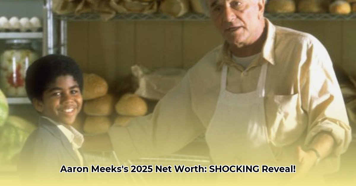 aaron-meeks-net-worth